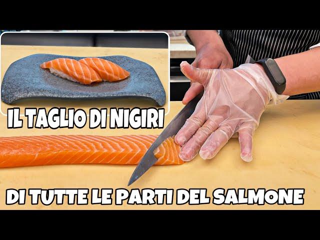 CUT OF NIGIRI IN ALL PART OF THE SALMON