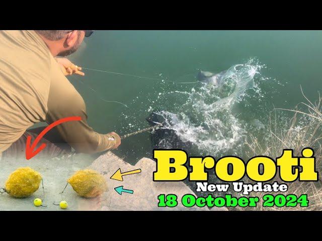 Mangla Brooti New Update 18 October 2024 | Mangla Dam Fishing | Feeder Fishing | ADIL