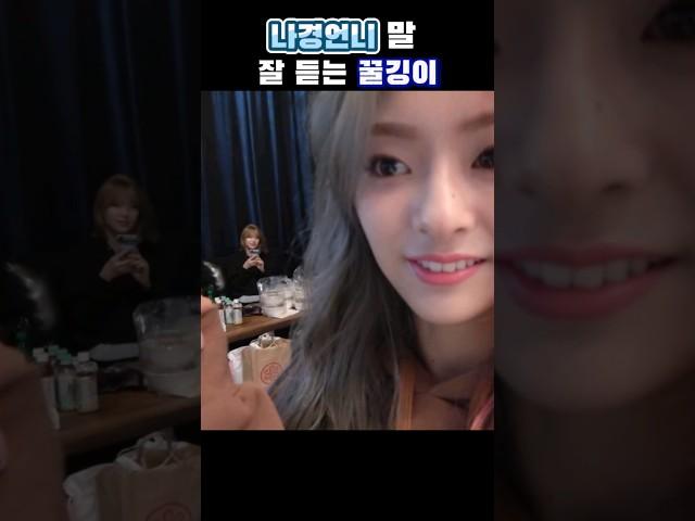 나경언니 말 잘 듣는 막내 꿀깅이 [프로미스나인]