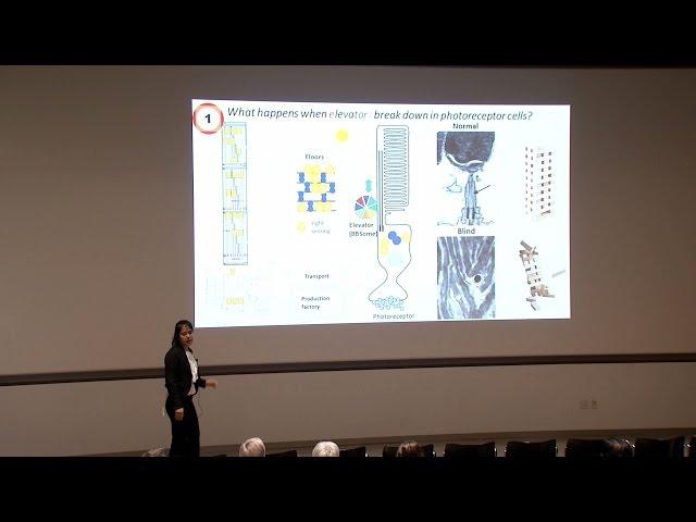 2016 Three Minute Thesis Finalist - Ying Hsu