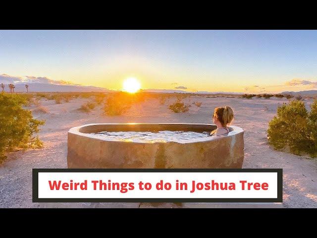 Weird Things to do in Joshua Tree