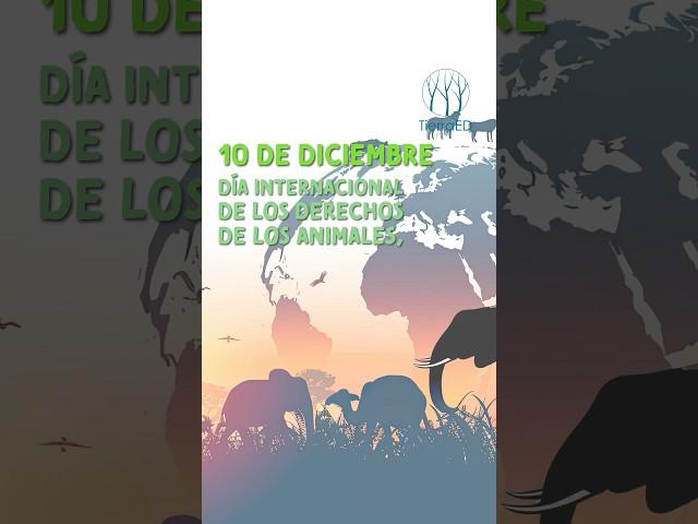 10 Diciembre Día internacional de los #derechosanimales #naturaleza #protecciónanimal