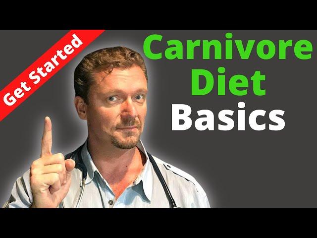 CARNIVORE Diet (Beginner's Guide) All You Need to Get Started - 2024