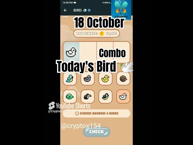 Bird Daily combo 18 October daily combo bird #birds #airdrop #telegram #combo