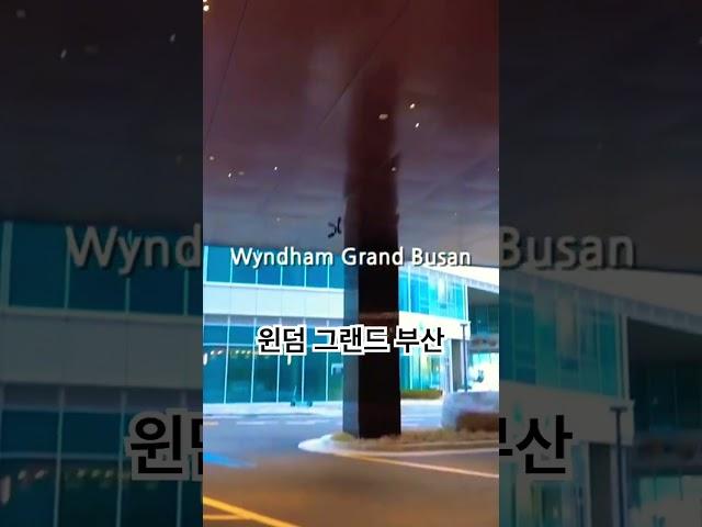 윈덤 그랜드 부산 wyndham grand busan