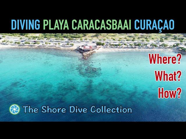 Diving Playa Caracasbaai Curaçao | The Shore Dive Collection | TropicLens   4K