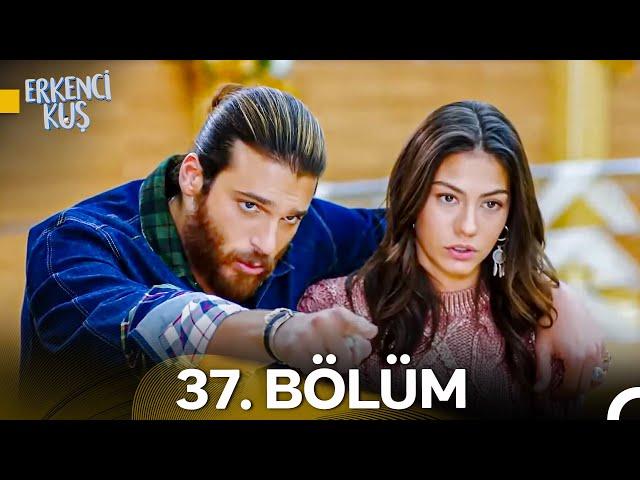 Erkenci Kuş 37. Bölüm