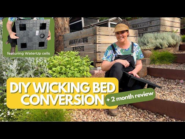 DIY Self-Watering Vegetable Garden  Bean There Dug That