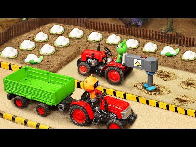 diy making mini farm with tractor science project | cabbage farm making | @MiniFarmingSM
