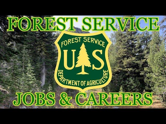 Forest Service Jobs and Careers in Conservation Explained (Structure, types of work, requirements)