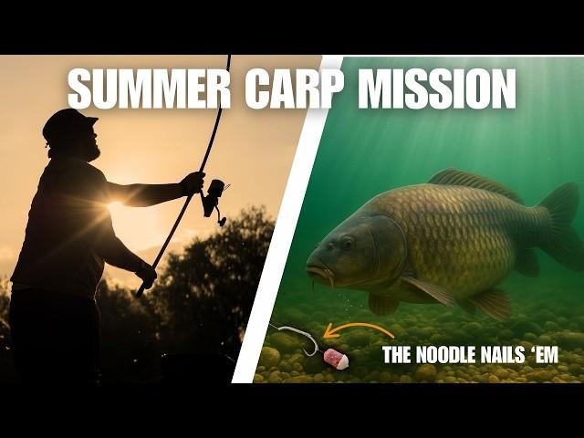 Summer Carp VS the Deadly Noodle Rig | Max Whitehall reveals effective hot weather tactics!