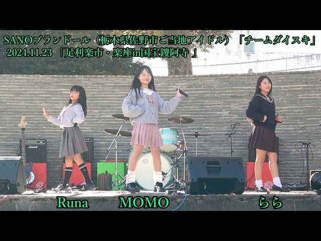 SANOブランドール（栃木県佐野市ご当地アイドル）「チームダイスキ」MOMO・らら・ Runa＿2024.11.23 「足利楽市・楽座in国宝鑁阿寺 」