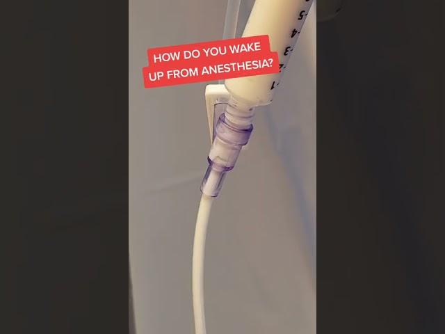 How You Wake From Anesthesia