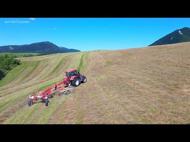 Hay raking Case IH Maxxum 125 + Pöttinger EuroTop 652 [2024]