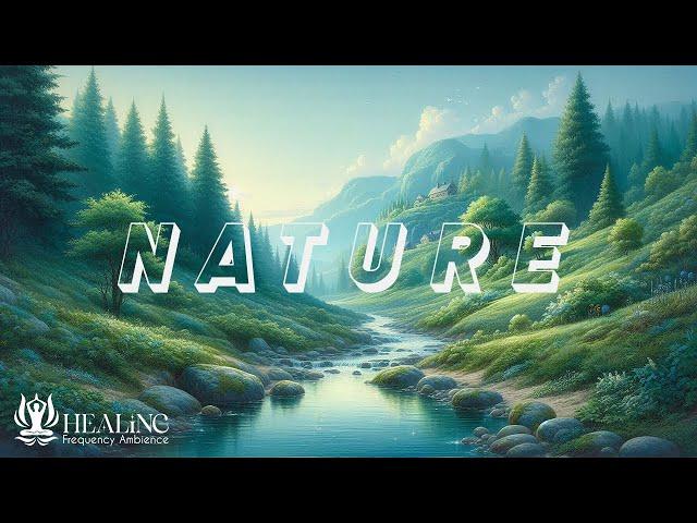 Healing The Forest Ambience L Meditation Music For Health Improvement L Refresh Energy