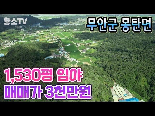 [전남임야매매] #1703 무안군 몽탄면 1,530평 접근성 좋은 임야 매매가 3천만원