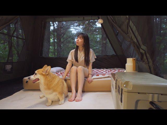 SOLO CAMPING in Heavy RainㅣRelaxing in a Large Instant TentㅣASMR