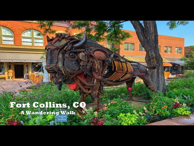 Fort Collins, CO: Wandering Walks of Wonder Slow TV Walking Tour 4K