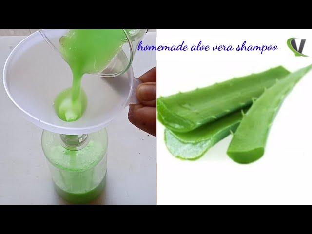 Homemade Aloe Vera Shampoo | Get Thick And Long Hair .