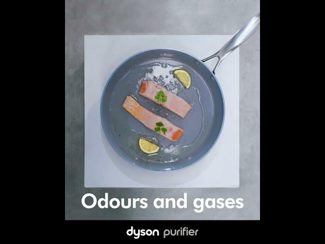 Dyson Purifier Cool Formaldehyde