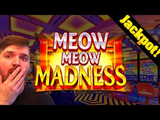 WINNING OVER $15,000.00 On Meow Meow Madness Slot Machine! Jackpot Hand Pay!