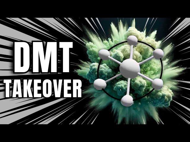 Why NATs Are STILL The Most Interesting Thing Happening on Bitcoin | DMT TAKEOVER 1