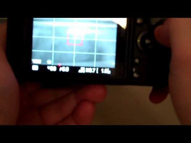 How to use the info button on the Nikon DSLR Model camera