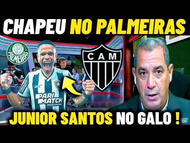 URGENTE CUCA PEDE JUNIOR SANTOS NO GALO ! ZINHO DEU O PAPO SOBRE O ATLÉTICO MG - NOTICIAS DO GALO