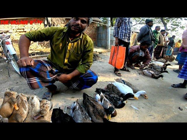 Amazing King Duck Village Market in Bangladesh||Big street Village Market in South Asia