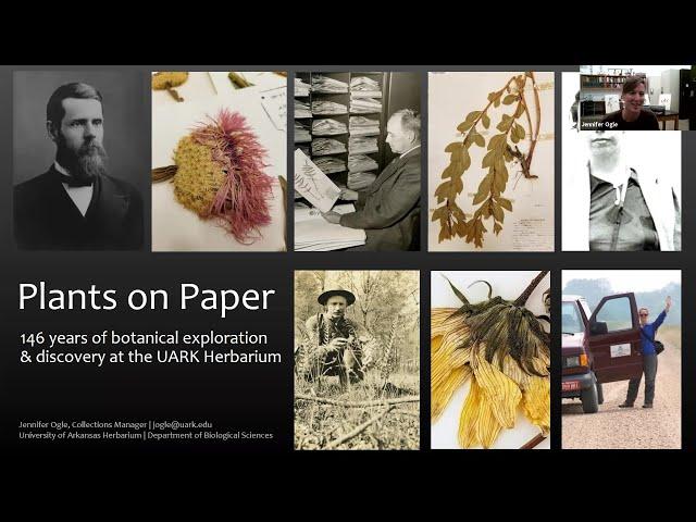 Plants on Paper - A History of the University of Arkansas Herbarium with Jennifer Ogle