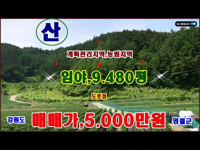 물번,617번) 임야,9.480평 계획관리지역,농림. 매매가,5.000만원 준보전산지,1.850평 밑 부분에 있습니다 도로 잘 물고 있으며 지적도상의 도로 접하고 있습니다 ~임업인