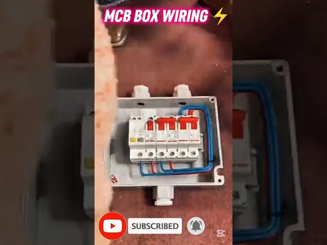 electrical Single Phase Distribution Board Connection#mcbboxconnection#mcb#shorts#shortsfeed#breaker