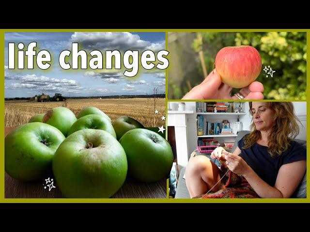 Autumn feels, reading update, post-summer adjustment  Fall VLOG