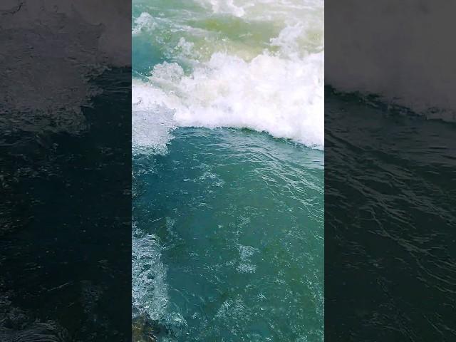 Bhairavi River #shorts #status