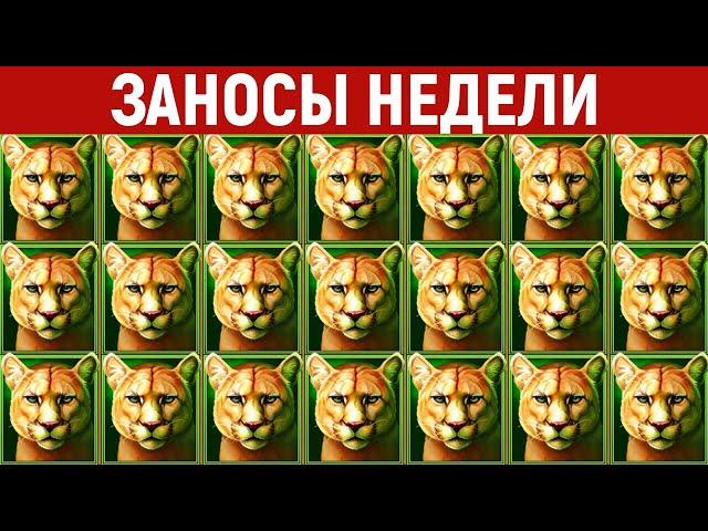 ЗАНОСЫ НЕДЕЛИ.ТОП 10 больших выигрышей от x1000. 813 выпуск