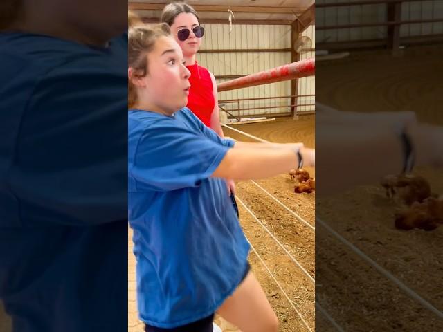 These Show Horses Can’t Stop Laughing!  #horse #shorts #equestrian