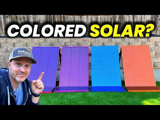 How Bearvolt Solar Panels Are Bringing Color To Renewable Energy!