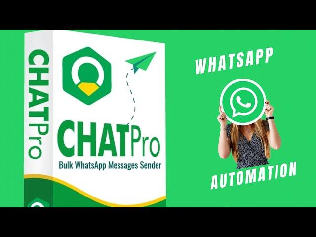 Whats app Automation Chat Pro Bot Lead User Demo  Part 1