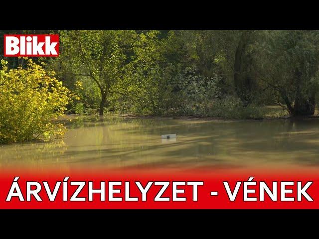 Lelepleztük az árvízi álhírt - Véneken jártunk utána az árvízhelyzetnek