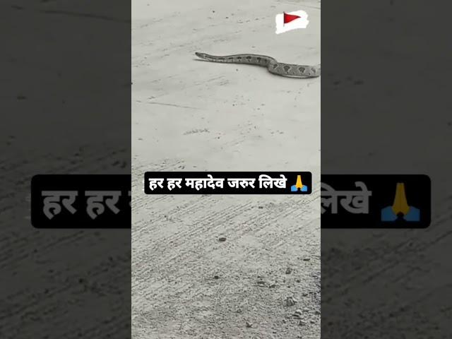 mahadev status mahakal status bholanat status #shiv #shiva #short #viral #trending