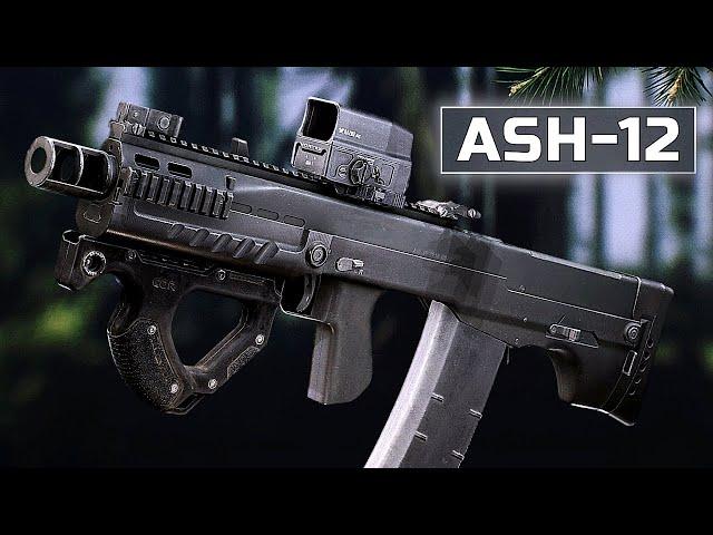 Lightkeeper Task with ASh-12 (PS12B Ammo)