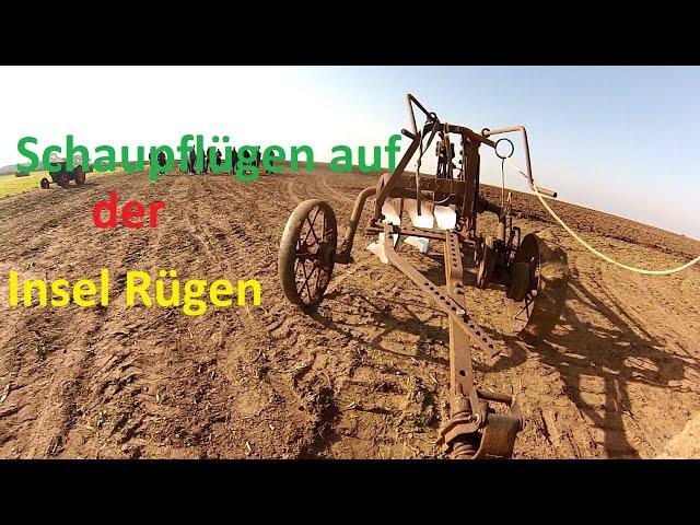 Schaupflügen auf der Insel Rügen 2024