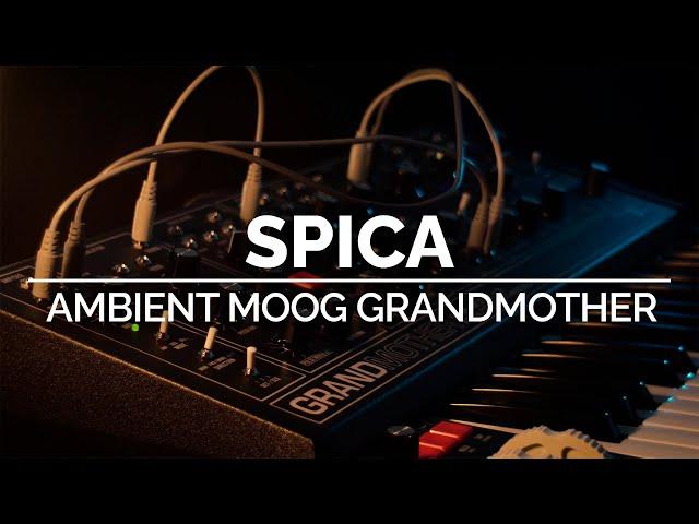 Spica | Ambient Moog Grandmother