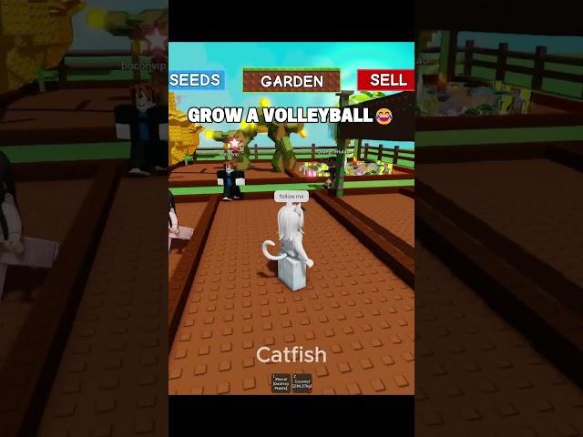 Volleyball in grow a garden  #growagarden #roblox #usa