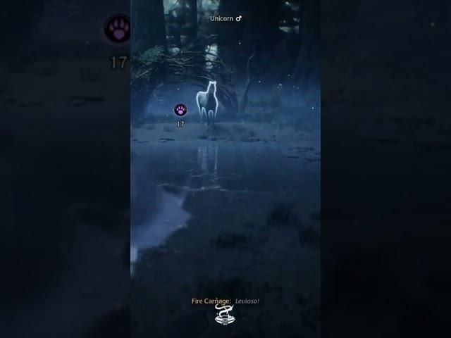 How to Hogwarts Legacy - How To Get UNICORN / How To Tame - Catch Unicorns And Unicorn Den Location
