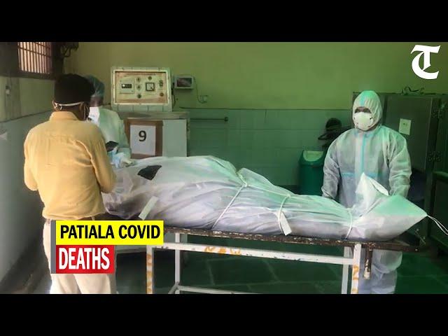 Patiala's Rajindra Hospital reports 31 deaths in 24 hours, mortuary running out of space