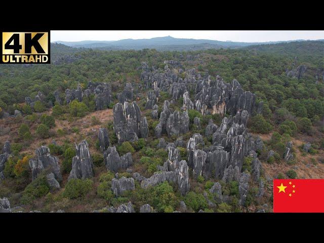 Shilin Stone Forest: Kunming