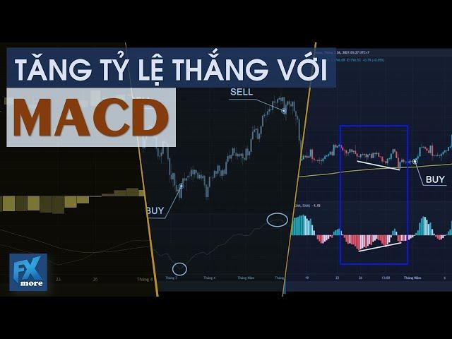 Tăng tỷ lệ thắng với MACD (Chỉ báo trung bình động hội tụ phân kỳ)|ForexmoreVN