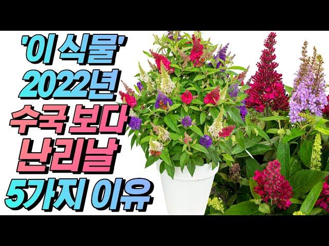 단독! 2022 미리보는 차세대 대박 식물 Top 4 (1부)