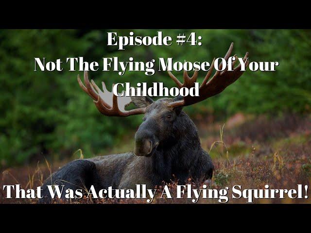 Take Note Podcast #4: The Flying Moose In the Room!